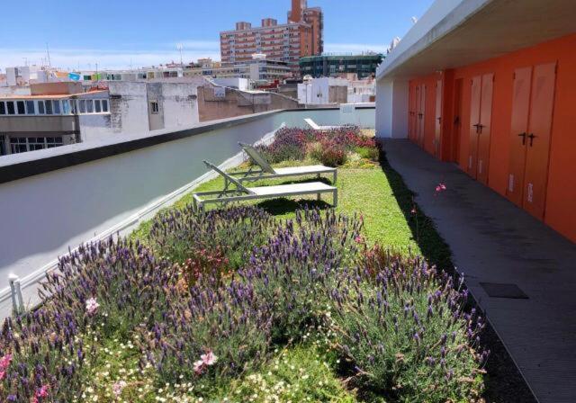 Zen Garden Apartamento Las Palmas de Gran Canárias Exterior foto